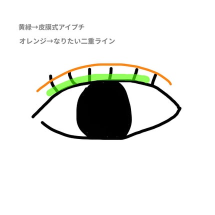 リアルダブルアイリッド/K-パレット/二重まぶた用アイテムを使ったクチコミ(2枚目)