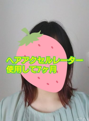 ヘアアクセルレーターEX/加美乃素本舗/頭皮ケアを使ったクチコミ（1枚目）