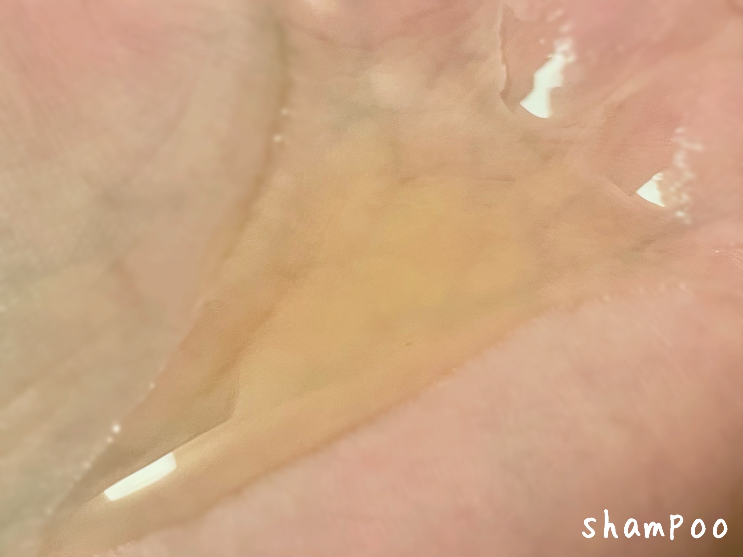 グラータ ハーバルシャンプー＆トリートメント/エリデン/シャンプー・コンディショナーを使ったクチコミ（2枚目）