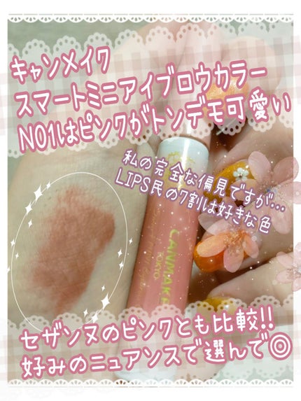 スマートミニアイブロウカラー/キャンメイク/眉マスカラを使ったクチコミ(1枚目)