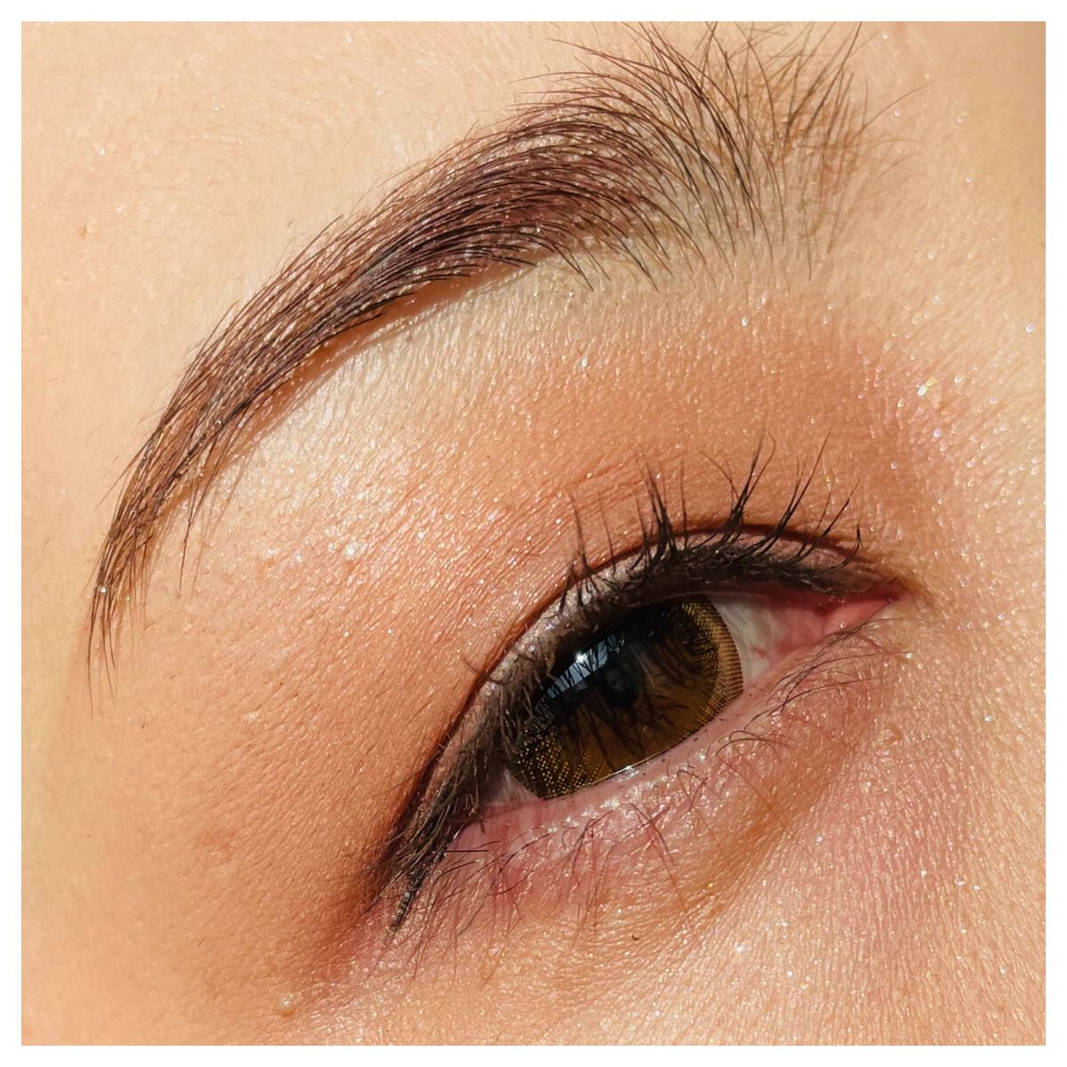 シルキースフレアイズ(マットタイプ)/キャンメイク/アイシャドウパレットを使ったクチコミ(3枚目)