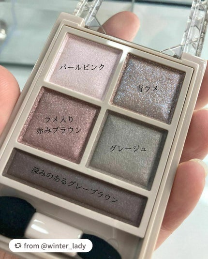 パノラマデザイン アイパレット/Visée/アイシャドウパレットを使ったクチコミ(3枚目)