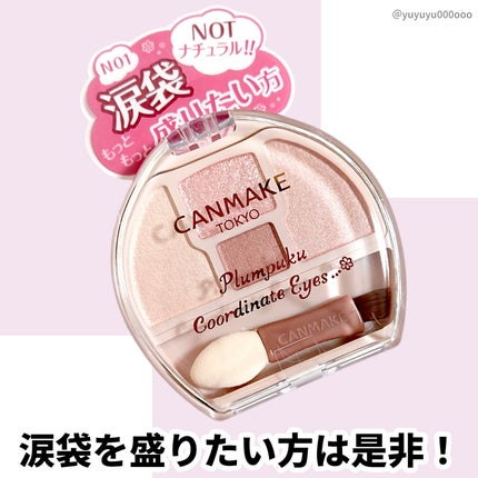 プランぷくコーデアイズ/キャンメイク/パウダーアイシャドウを使ったクチコミ(8枚目)