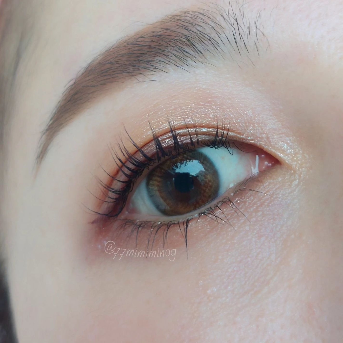 シグニチャー カラー アイズ/SUQQU/アイシャドウパレットを使ったクチコミ(3枚目)