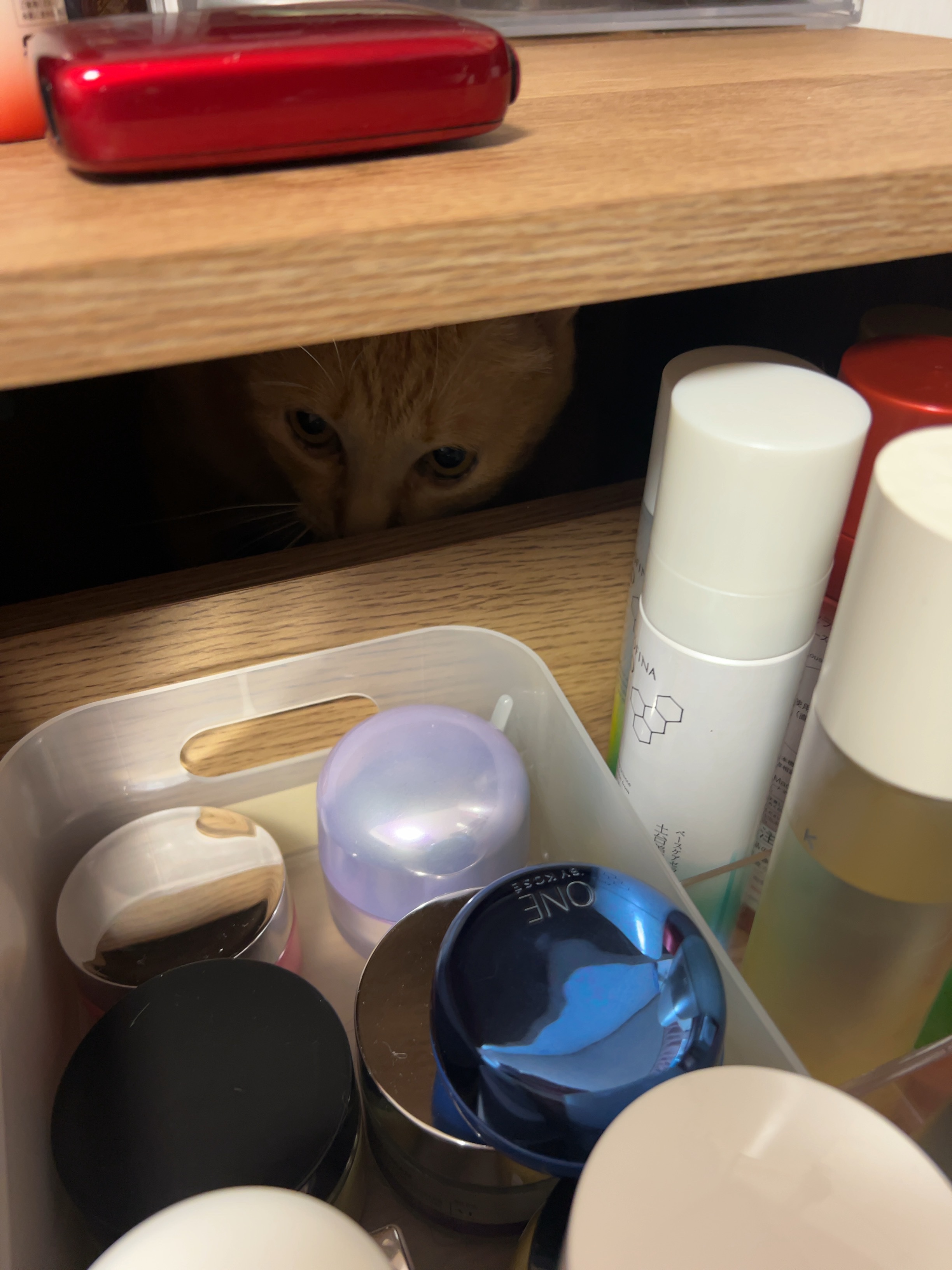 ケラチン ブースター ミスト [ダメージリペア] シトラスサボンの香り/マイブースターズ/アウトバストリートメントを使ったクチコミ（2枚目）