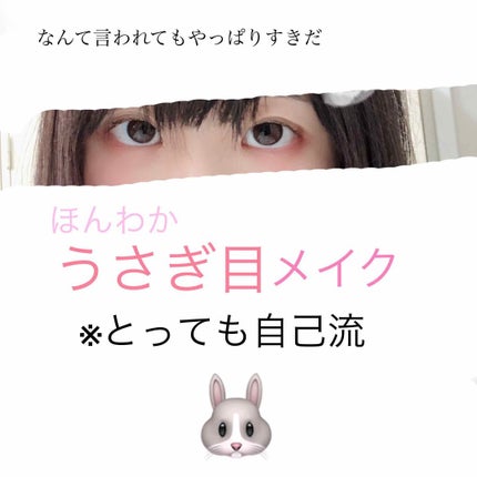 アイニュアンス/キャンメイク/アイシャドウパレットを使ったクチコミ(1枚目)