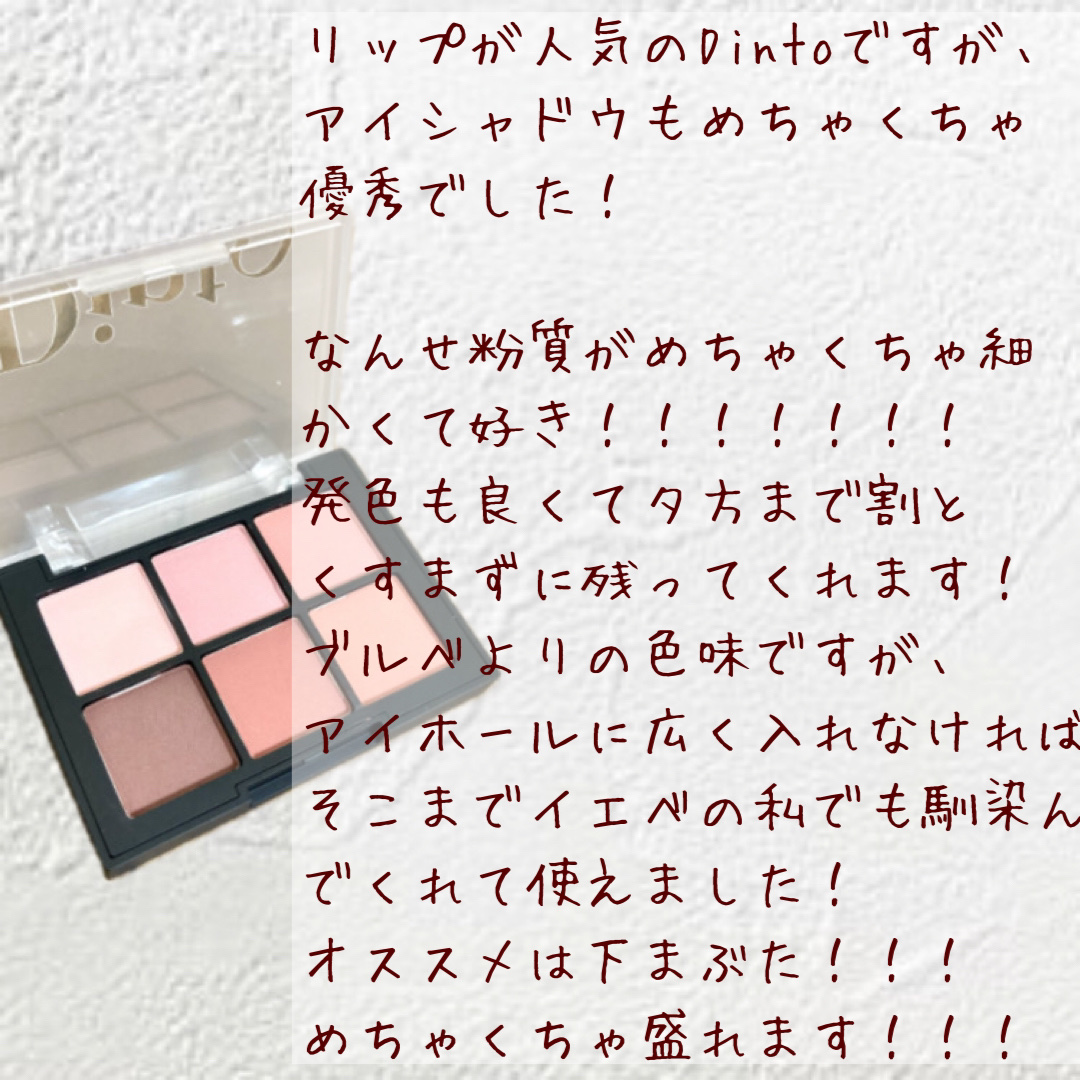 ブラーフィニシュシャドウパレット/Dinto/アイシャドウパレットを使ったクチコミ（2枚目）