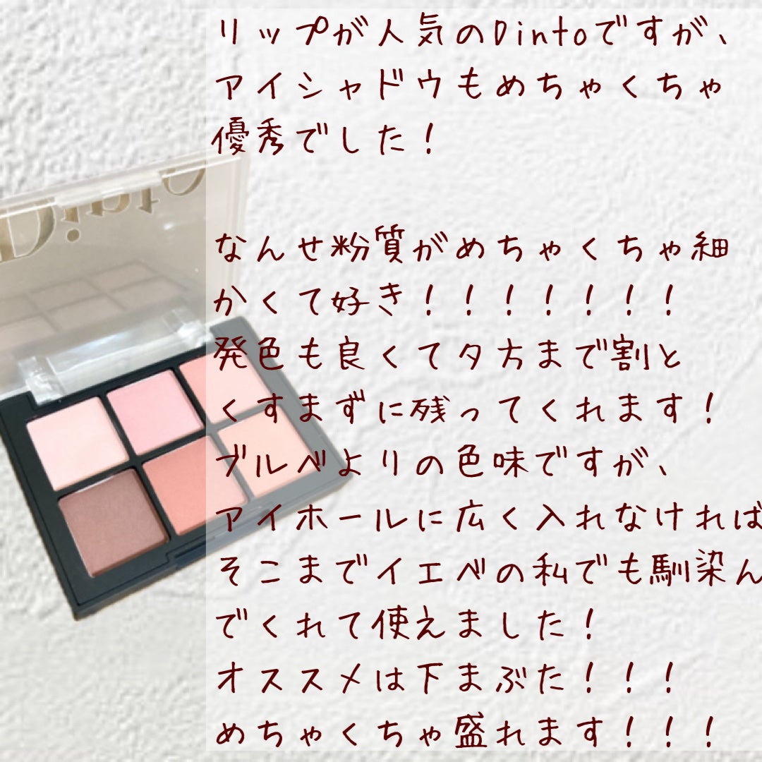 ブラーフィニシュシャドウパレット/Dinto/アイシャドウパレットを使ったクチコミ(2枚目)