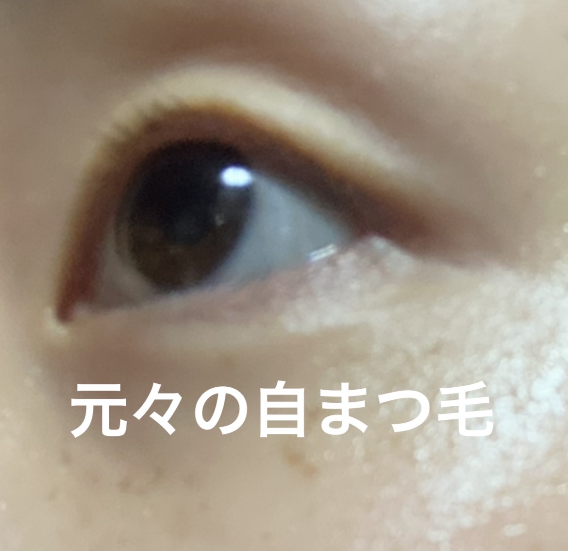 ラッシュアディクト アイラッシュコンディショニングセラム/soaddicted/まつげ美容液を使ったクチコミ（2枚目）