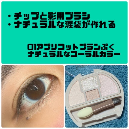 プランぷくコーデアイズ/キャンメイク/パウダーアイシャドウを使ったクチコミ(3枚目)