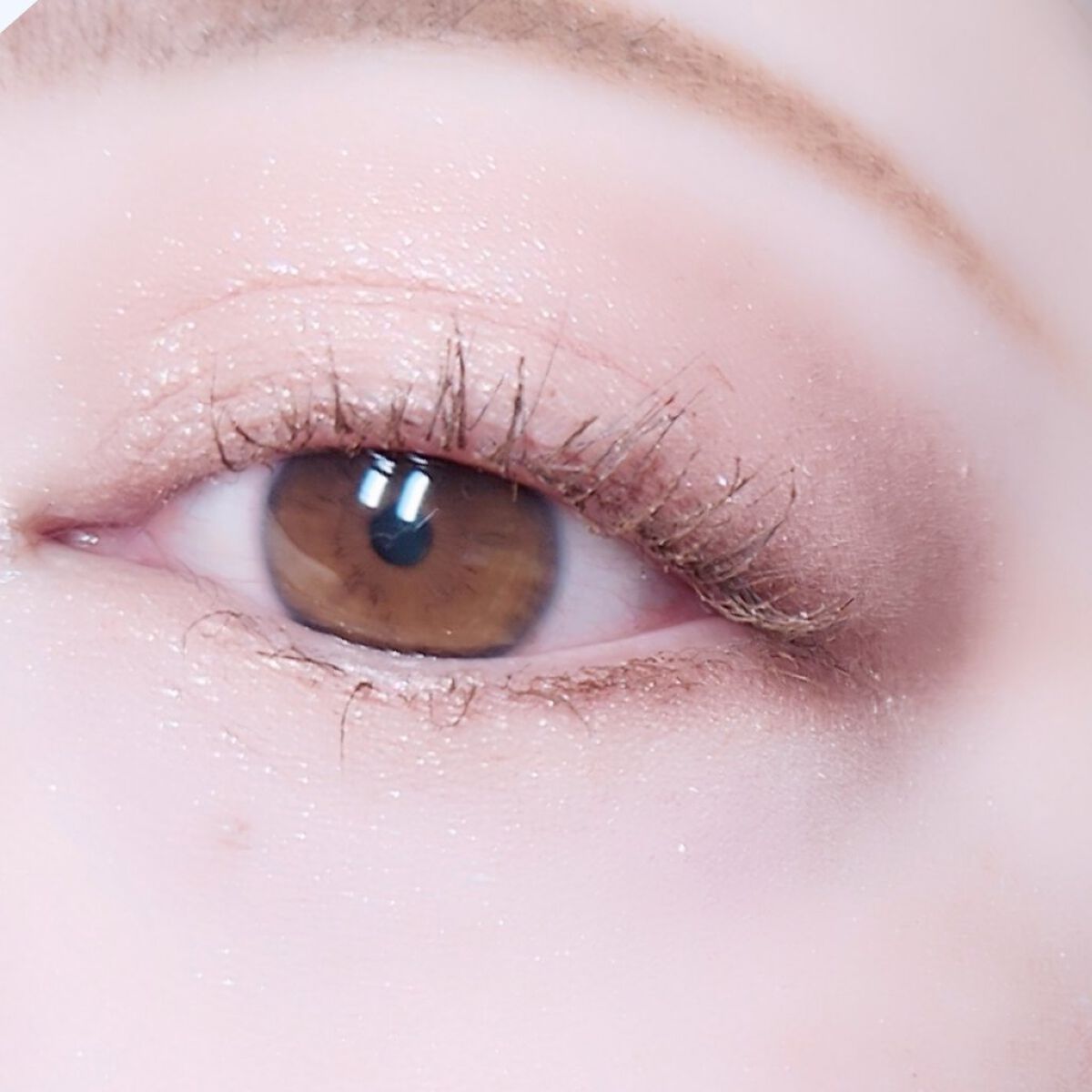 Love Bear ブラッシュ/FlowerKnows/パウダーチークを使ったクチコミ（3枚目）