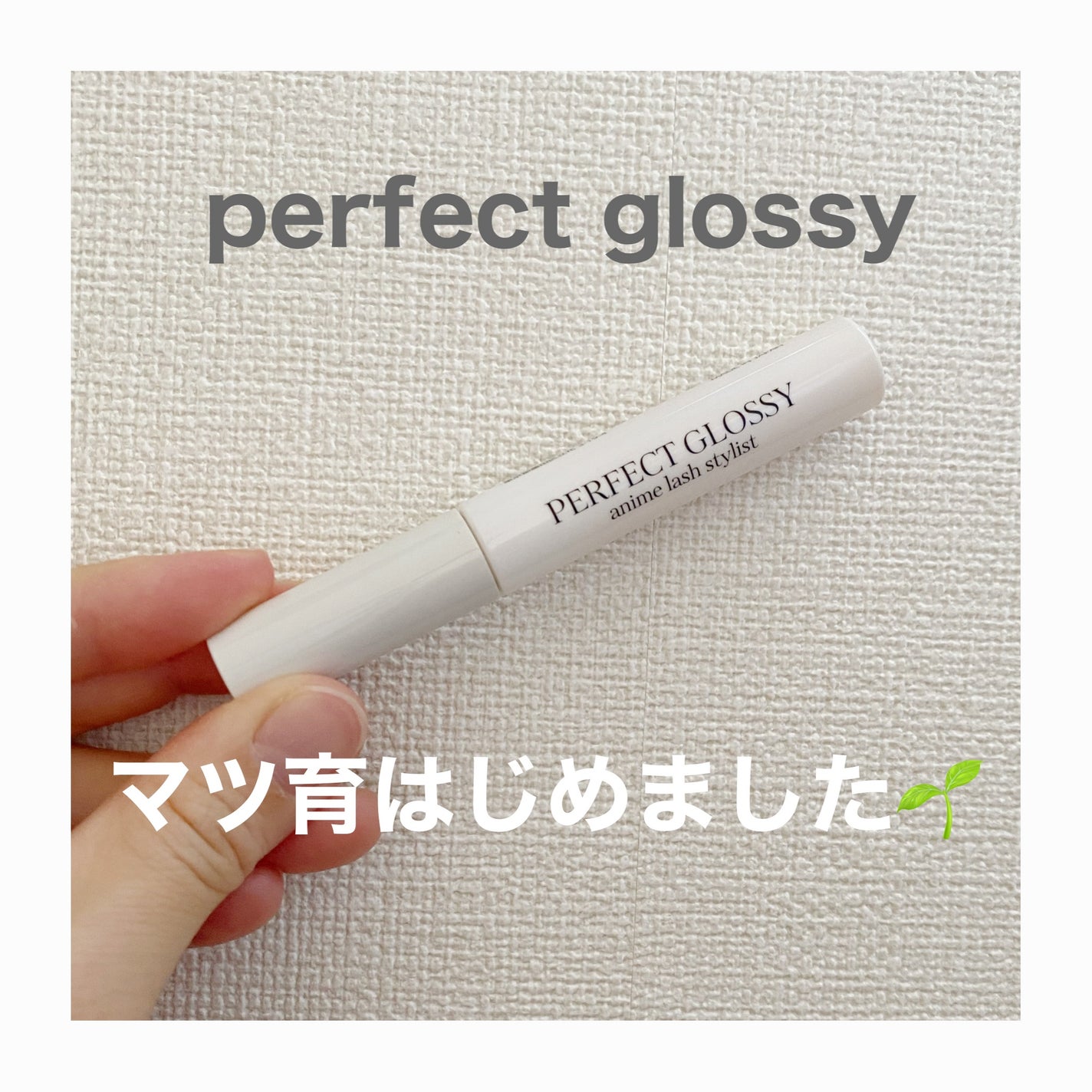 パーフェクトグロッシー/PERFECT LASH/まつげ美容液を使ったクチコミ(1枚目)