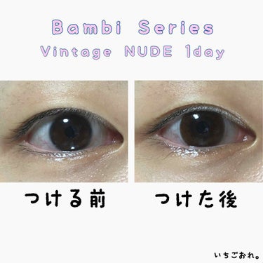 Angelcolor Bambi Series Vintage 1day/AngelColor/ワンデー（１DAY）カラコンを使ったクチコミ（3枚目）