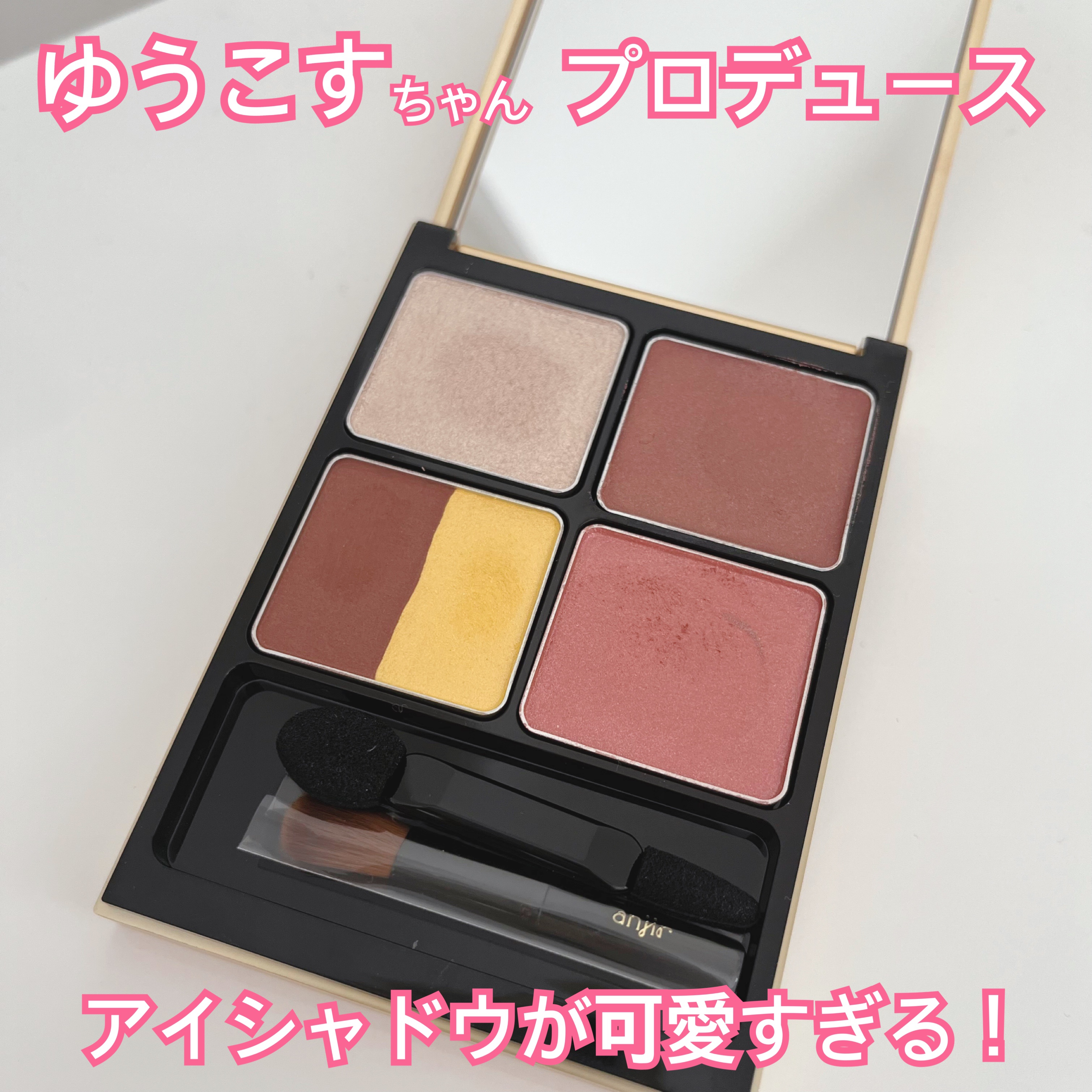 イレジスタブル アイシャドウ/anjir/アイシャドウパレットを使ったクチコミ（1枚目）