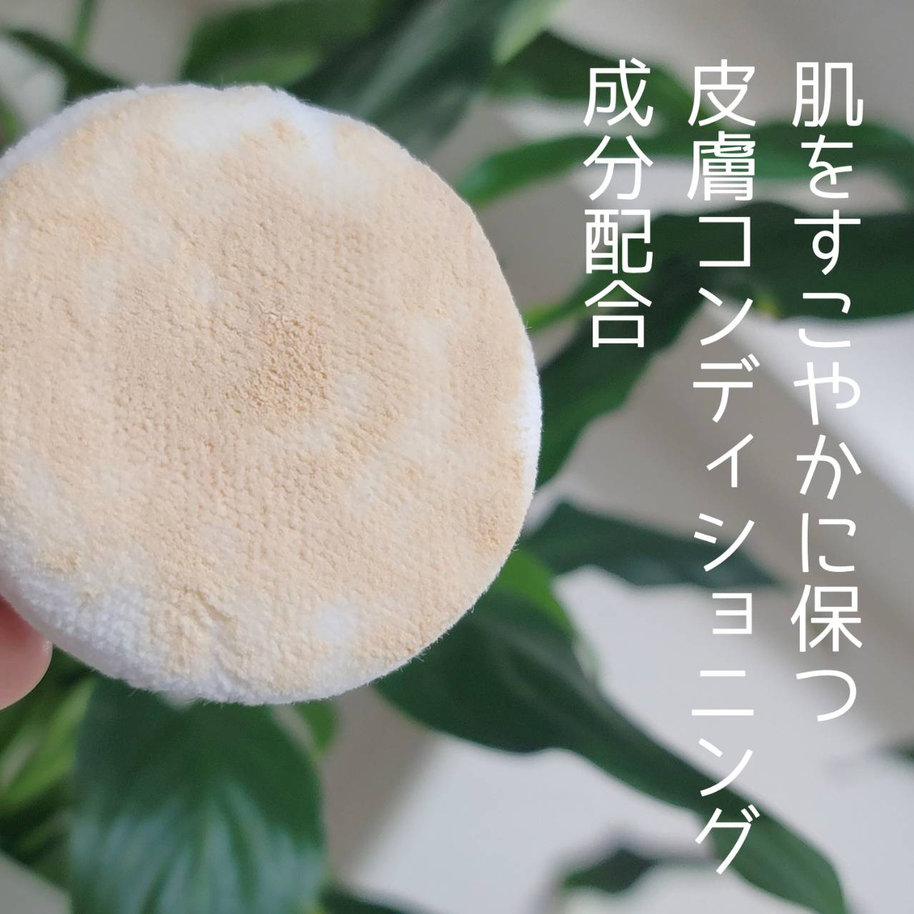 レスキューSPパウダー（ルースパウダー）/シャレコ/ルースパウダーを使ったクチコミ（2枚目）