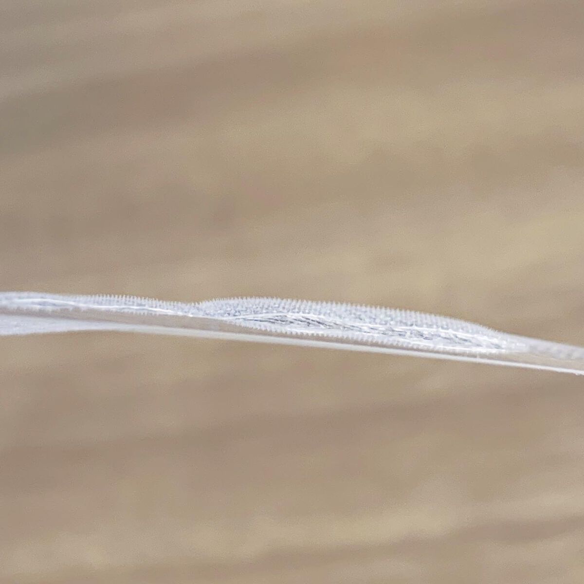 クリアターン ヒアロチューン マイクロパッチ 1500/クリアターン/シートマスク・パックを使ったクチコミ(8枚目)