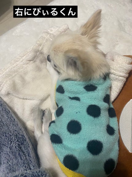 トーンアップアイシャドウ/CEZANNE/アイシャドウパレットを使ったクチコミ(4枚目)