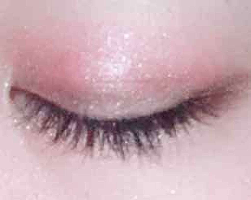 UT シャドウ パレット/NYX Professional Makeup/アイシャドウパレットを使ったクチコミ(1枚目)