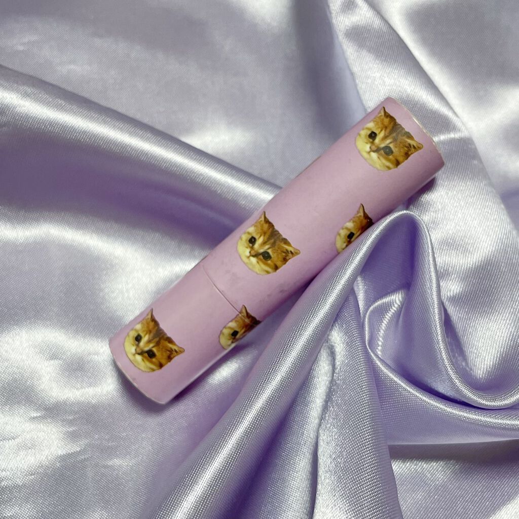 リップスティック ケース CS 048/PAUL & JOE BEAUTE/その他化粧小物を使ったクチコミ（1枚目）