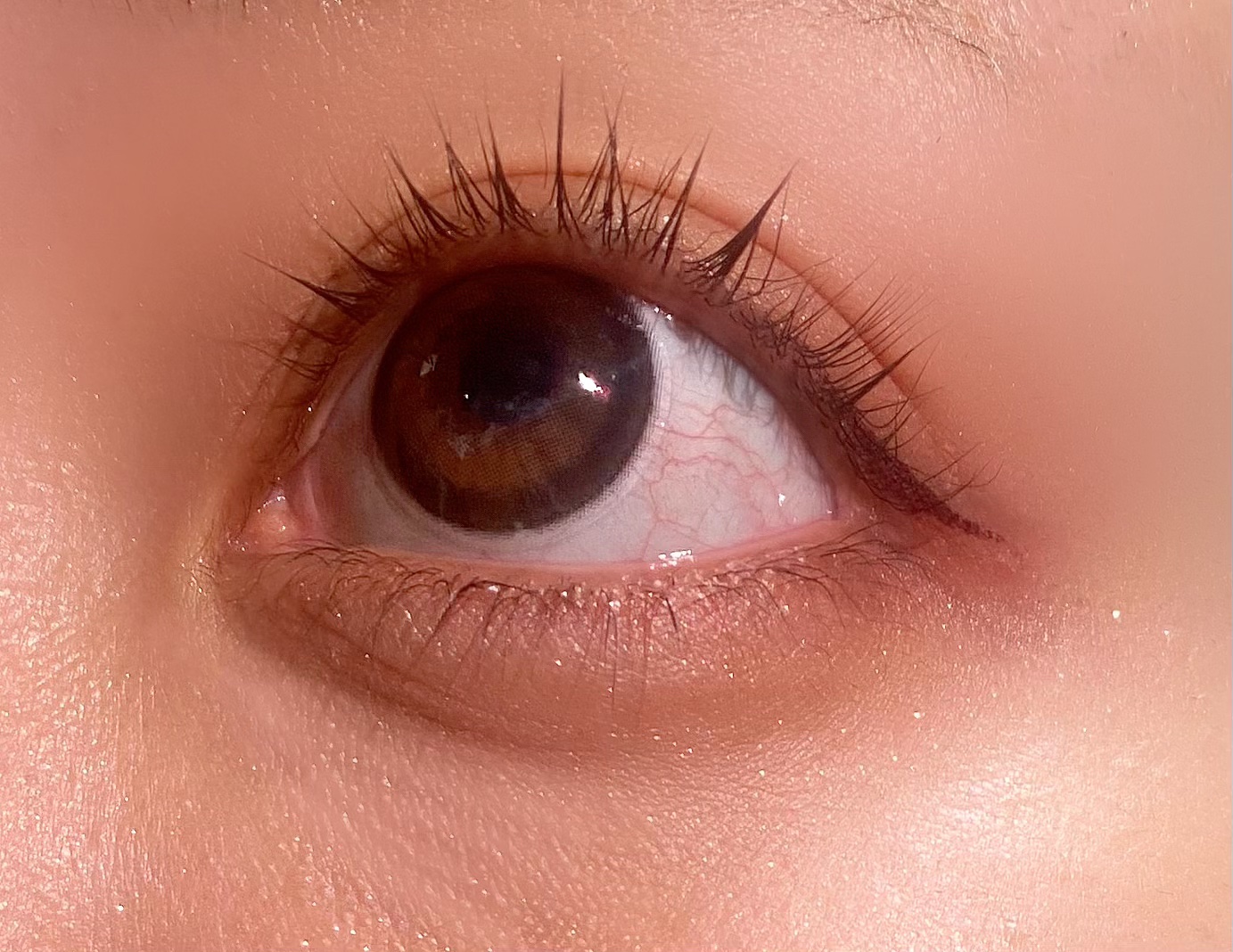 secretcandymagic 1day(シークレットキャンディーマジック）/secret candymagic/ワンデー（１DAY）カラコンを使ったクチコミ（2枚目）