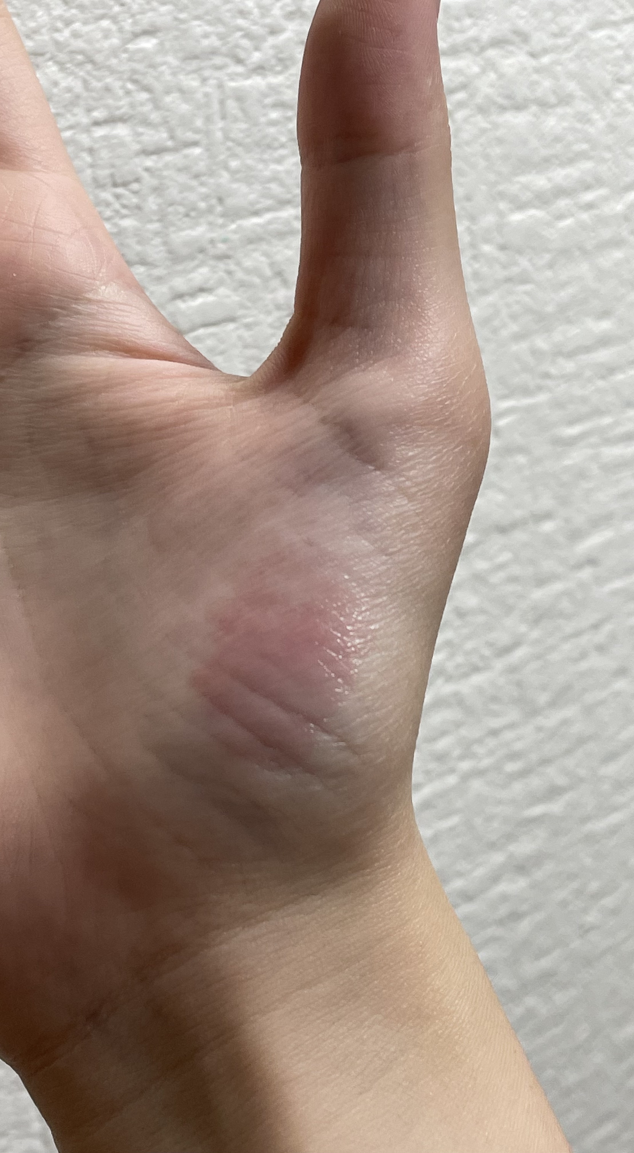 リップモンスター クリアトーン/KATE/口紅を使ったクチコミ（3枚目）