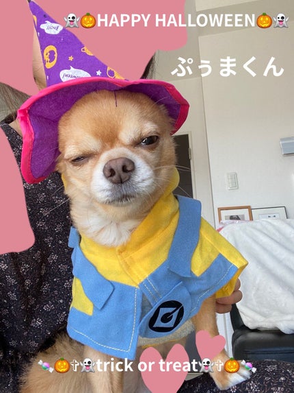 ネイル エナメル 細筆タイプ/ちふれ/マニキュアを使ったクチコミ(7枚目)