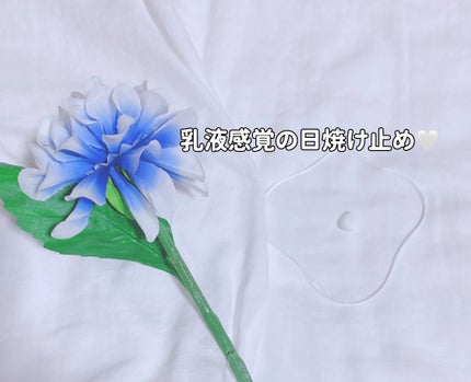 ハイバリアフレッシュサンローション/SKIN&LAB/日焼け止めミルクを使ったクチコミ(3枚目)