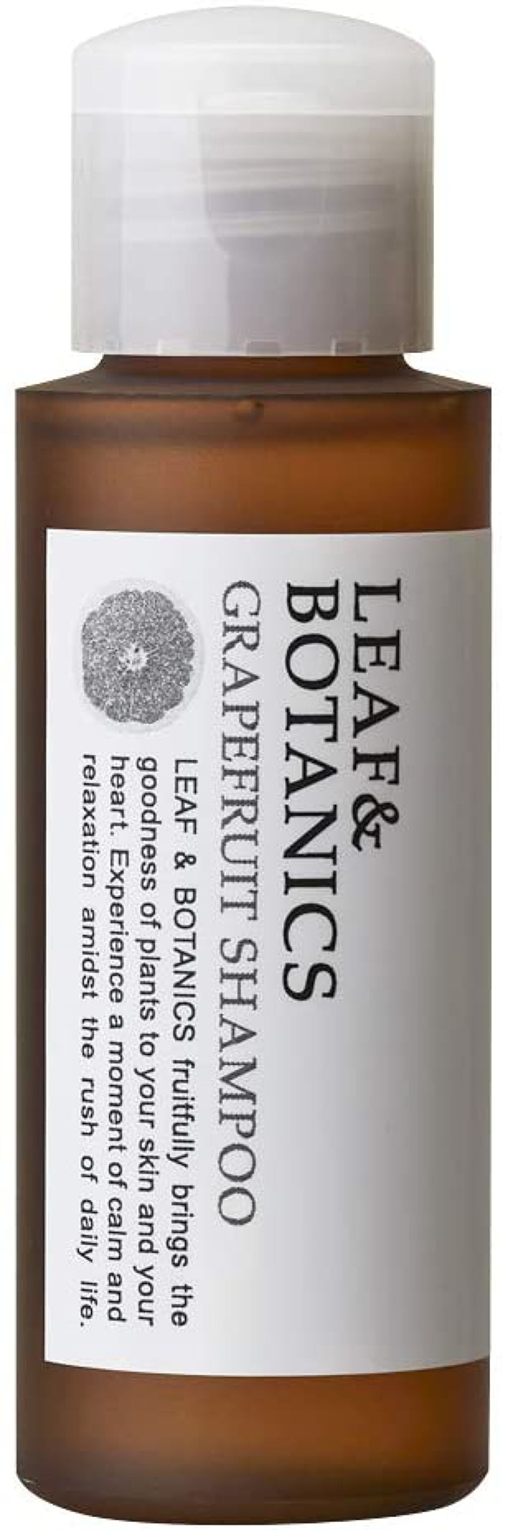 シャンプー 50ml