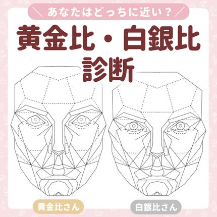 シェーディングパウダー/キャンメイク/シェーディングを使ったクチコミ(1枚目)