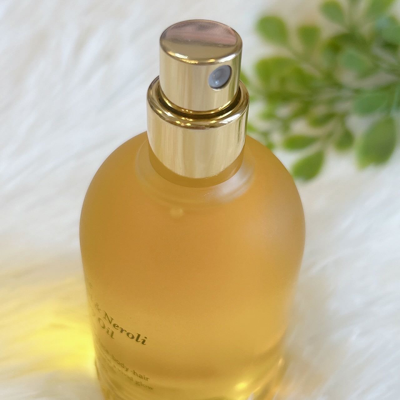 ボタニクB＆Nドライオイル/ovalla/フェイスオイルを使ったクチコミ（2枚目）