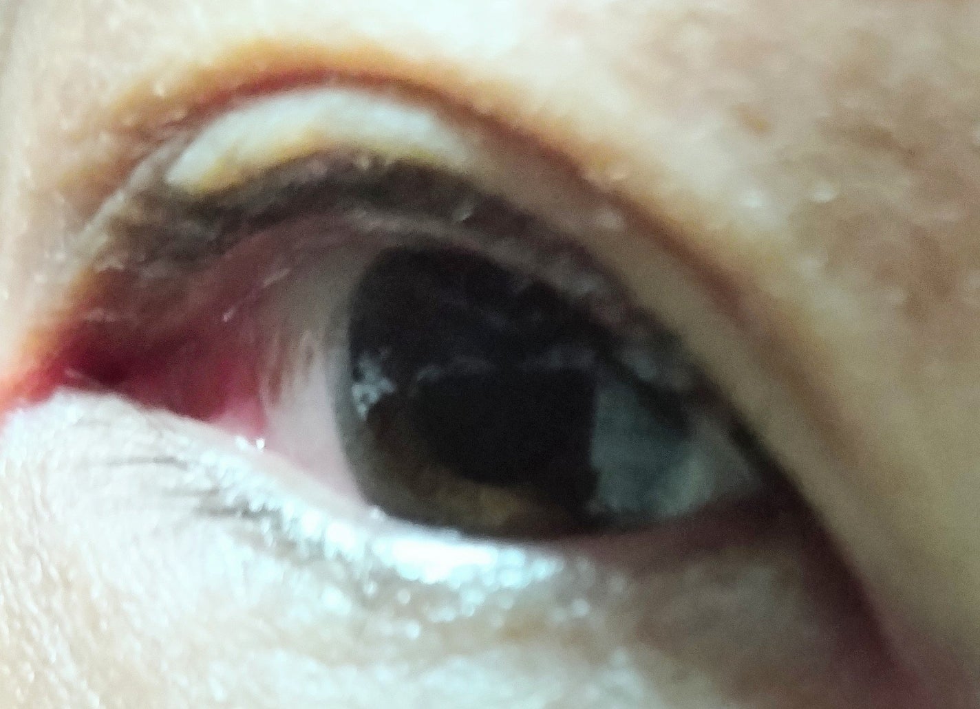 マスカラグルー&リムーバー/ミッシュブルーミン/その他化粧小物を使ったクチコミ(9枚目)