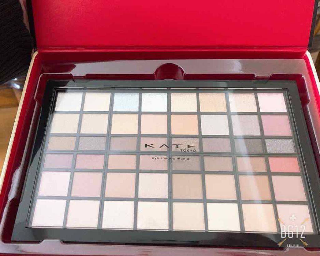 アイシャドウマニア 01/KATE/アイシャドウパレットを使ったクチコミ(2枚目)