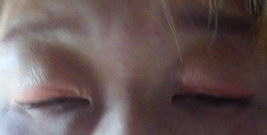 レトロマグネティック アイシャドウパレット/FlowerKnows/アイシャドウパレットを使ったクチコミ（3枚目）