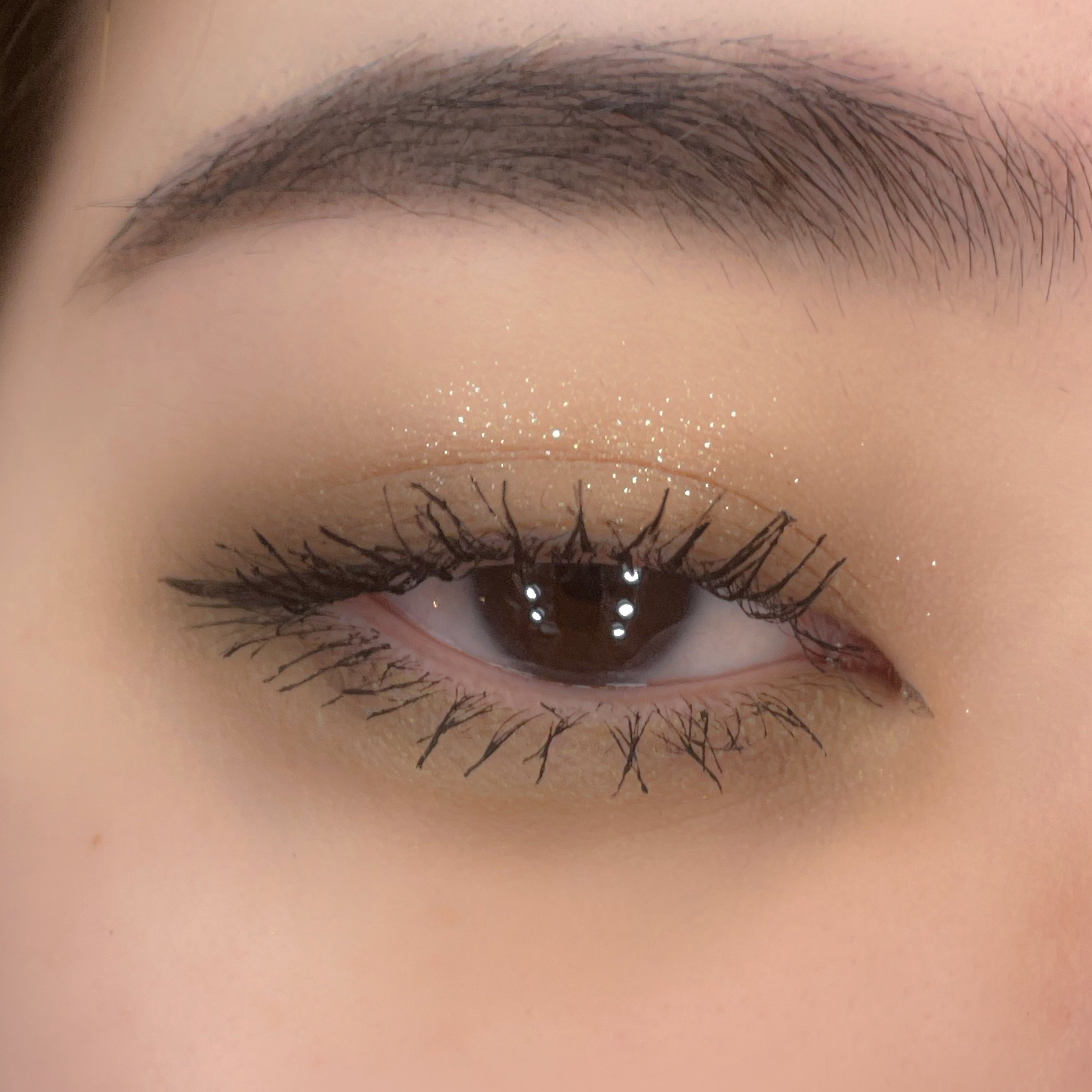 ブラッシュアップアイブロウ 242 グレーブラウン/チャコット・コスメティクス/アイブロウペンシルを使ったクチコミ（1枚目）