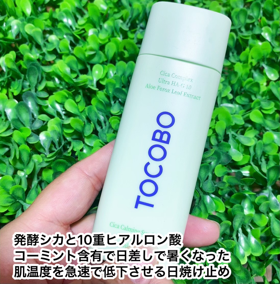 シカカーミングサンセラム/TOCOBO/日焼け止めクリームを使ったクチコミ（2枚目）