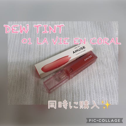 デューティント/AMUSE/リップティントを使ったクチコミ(6枚目)