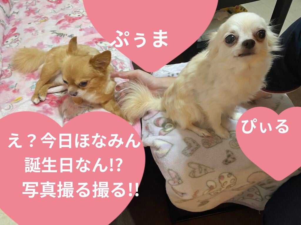 カラフルネイルズ/キャンメイク/マニキュアを使ったクチコミ(6枚目)