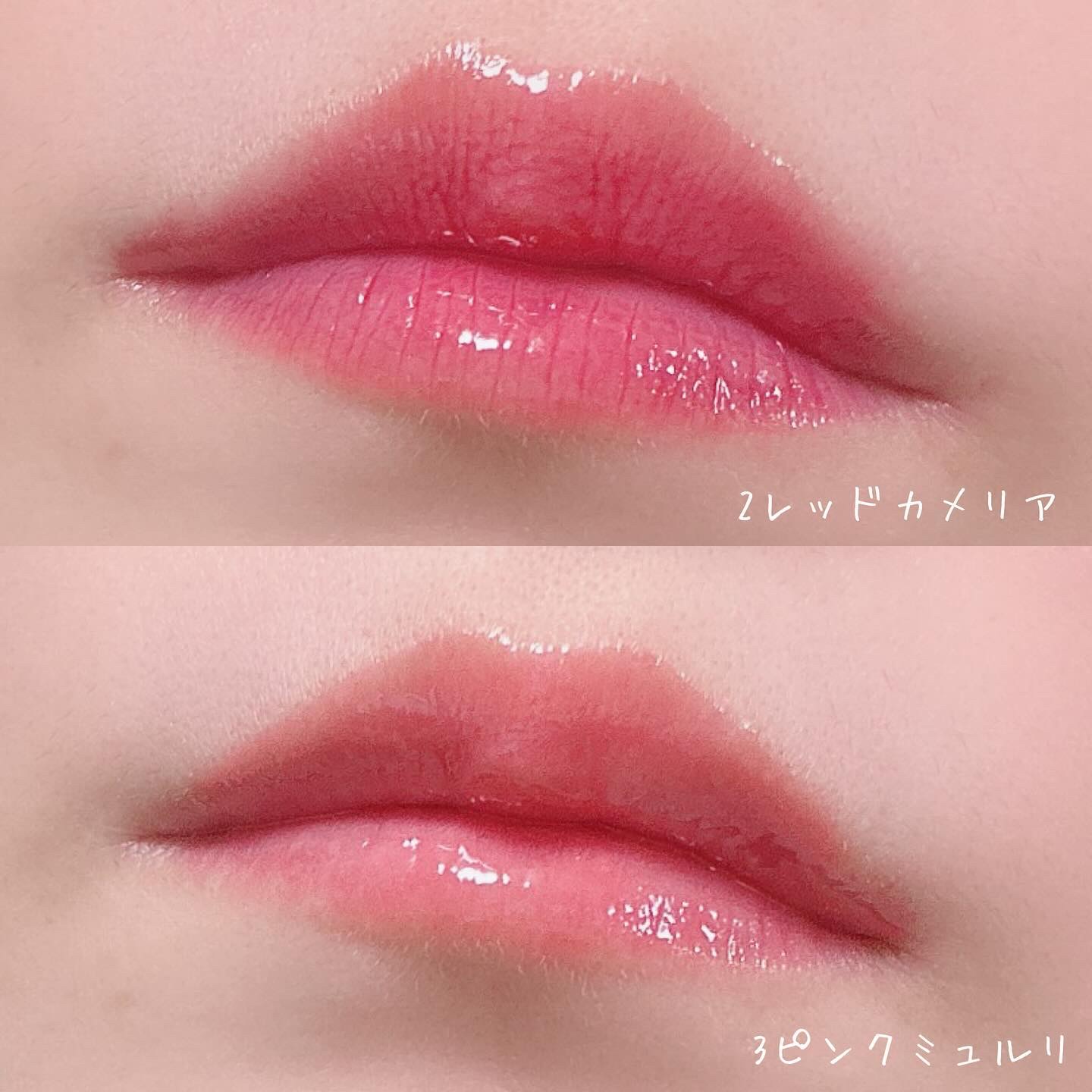 ナチュラルブルームリップオイルセラム 3色セット/PINATE/リップグロスを使ったクチコミ（3枚目）