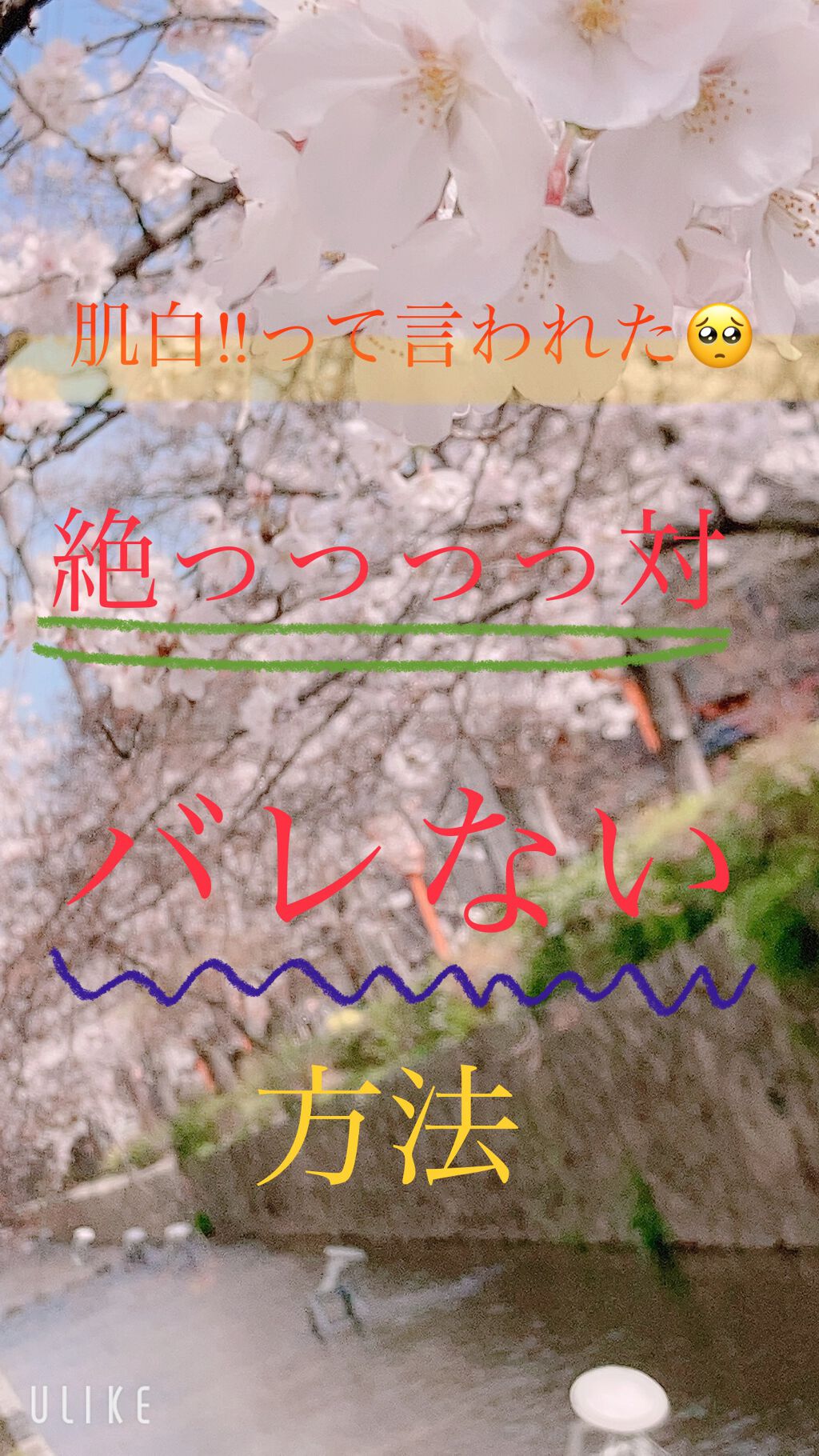 スキンローション ビタミンC/S SELECT/化粧水を使ったクチコミ（1枚目）