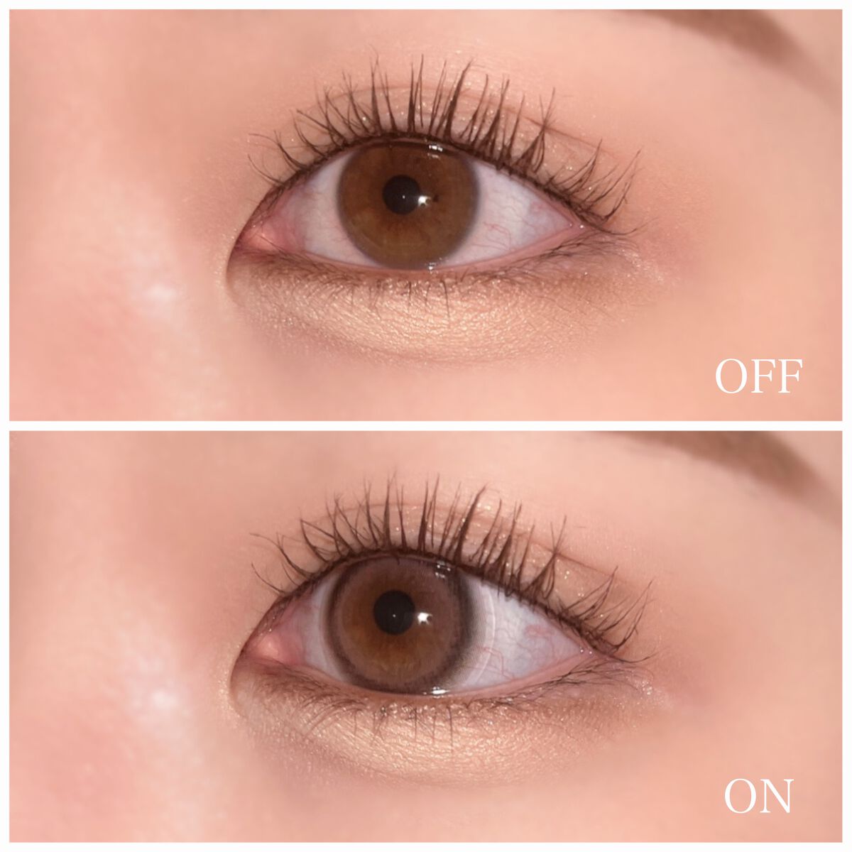 マリナシリーズ /LENSSIS/カラーコンタクトレンズを使ったクチコミ(3枚目)