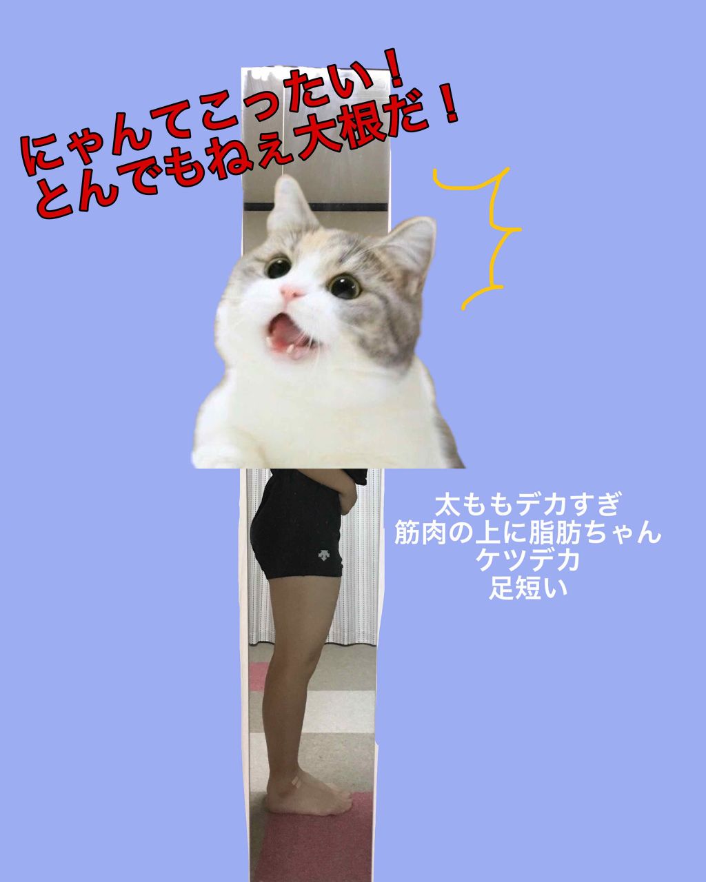 こけ on LIPS 「初めまして!!高校2年のデブです🐷私は中学からバレー部に入って..」(1枚目)