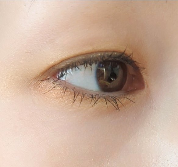 フォートーンズスタイリングアイズ サンガーデン/オルビス/パウダーアイブロウを使ったクチコミ（2枚目）