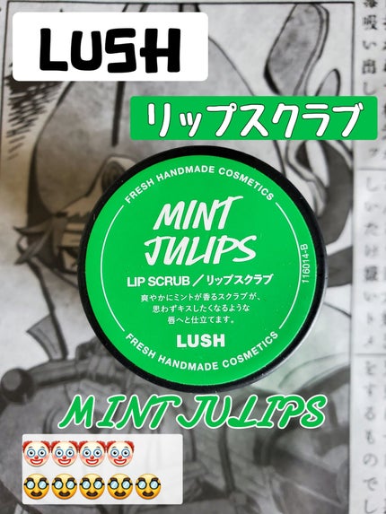 ミントフレーバー リップスクラブ/ラッシュ/リップスクラブを使ったクチコミ(1枚目)