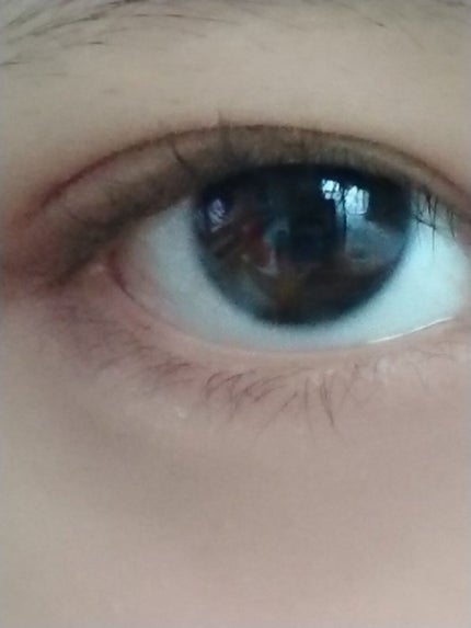 パーフェクトマルチアイズ/キャンメイク/アイシャドウパレットを使ったクチコミ(6枚目)