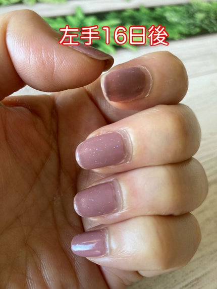 を使ったクチコミ(3枚目)