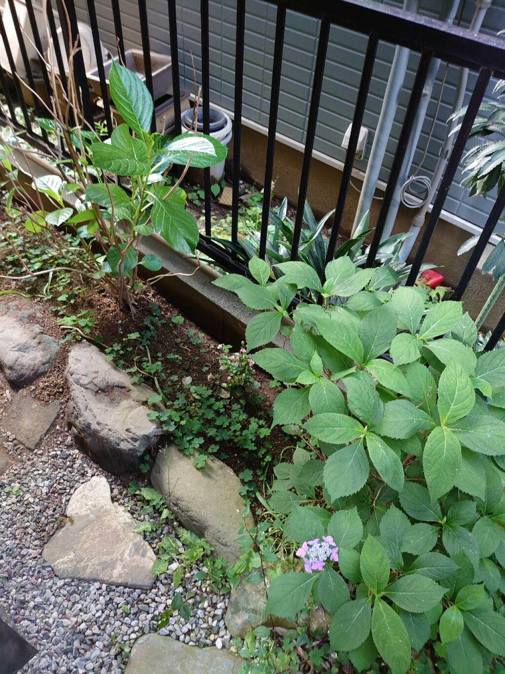 口紅(詰替用)/ちふれ/口紅を使ったクチコミ(3枚目)