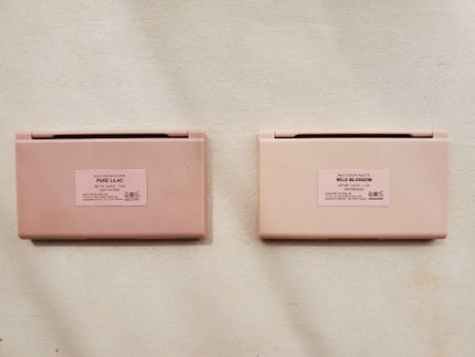 マルチカラーパレット/heme/マルチパレットを使ったクチコミ(9枚目)