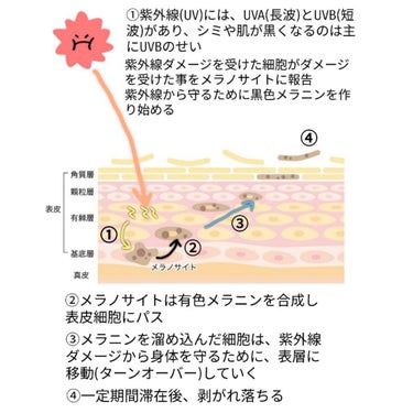 薬用ルルルン 美白アクネ/ルルルン/シートマスク・パックを使ったクチコミ（4枚目）