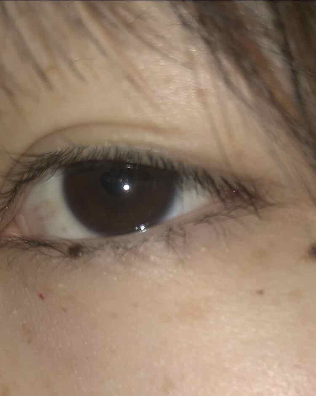 インク ブラック カラ/PERIPERA/マスカラを使ったクチコミ（2枚目）