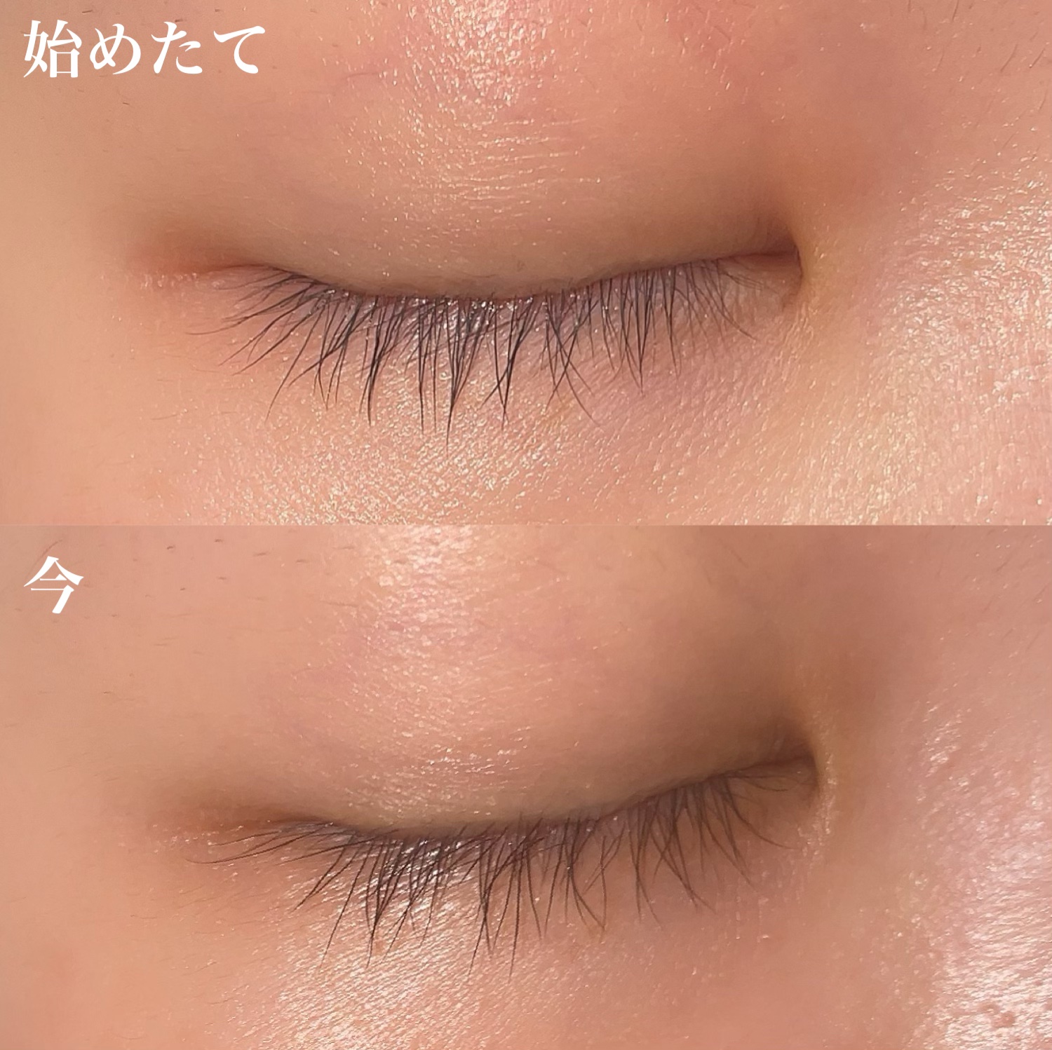 FEG  Eyelash  Enhancer/FEG/まつげ美容液を使ったクチコミ（2枚目）